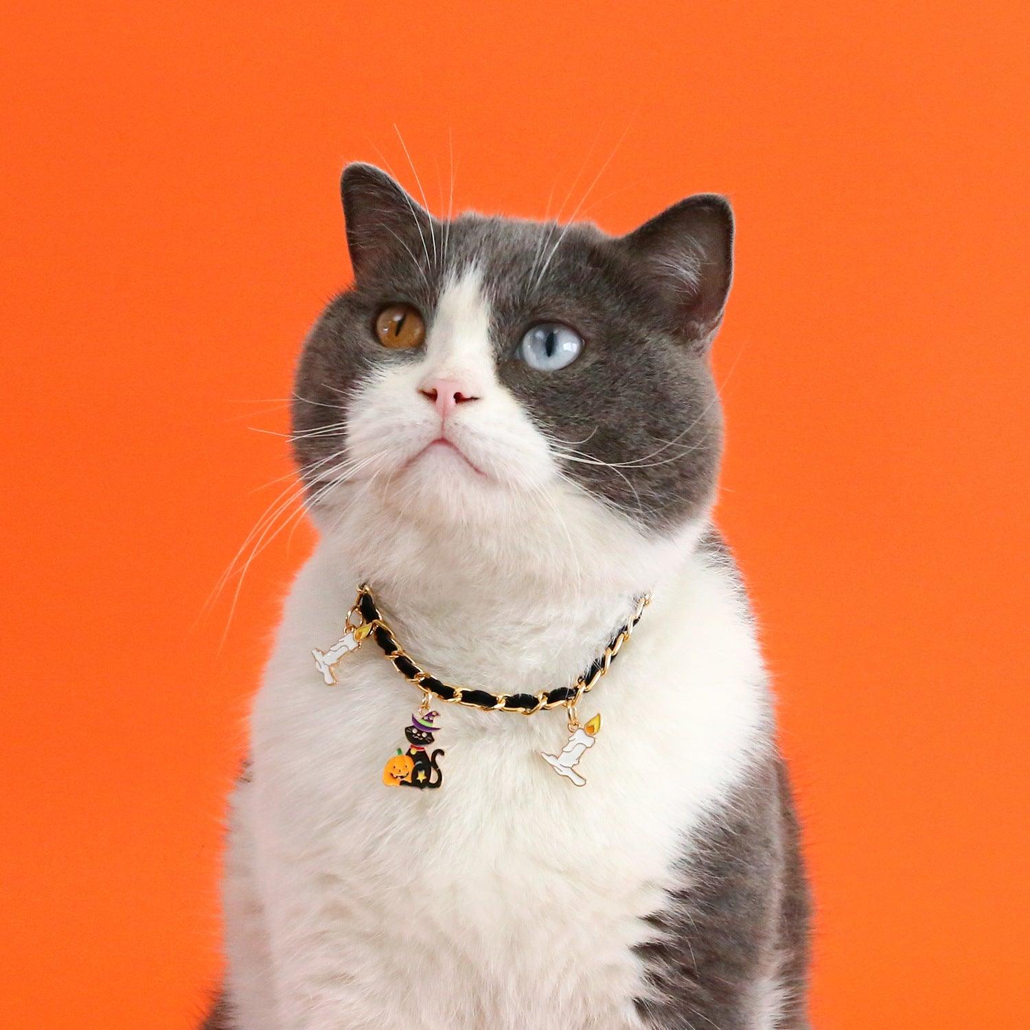 Pet Halloween Collar Velvet Dripping Bat Accessories - Trendha