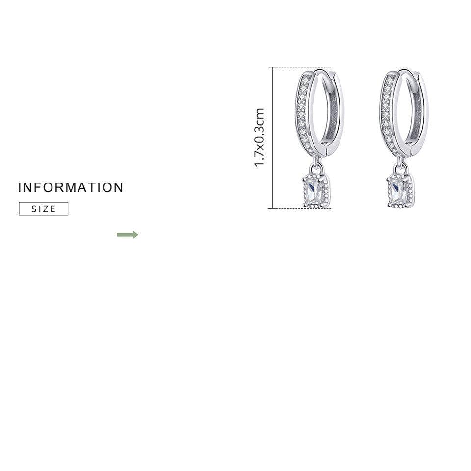 S925 Sterling Silver Fashion Zircon Earrings - Trendha
