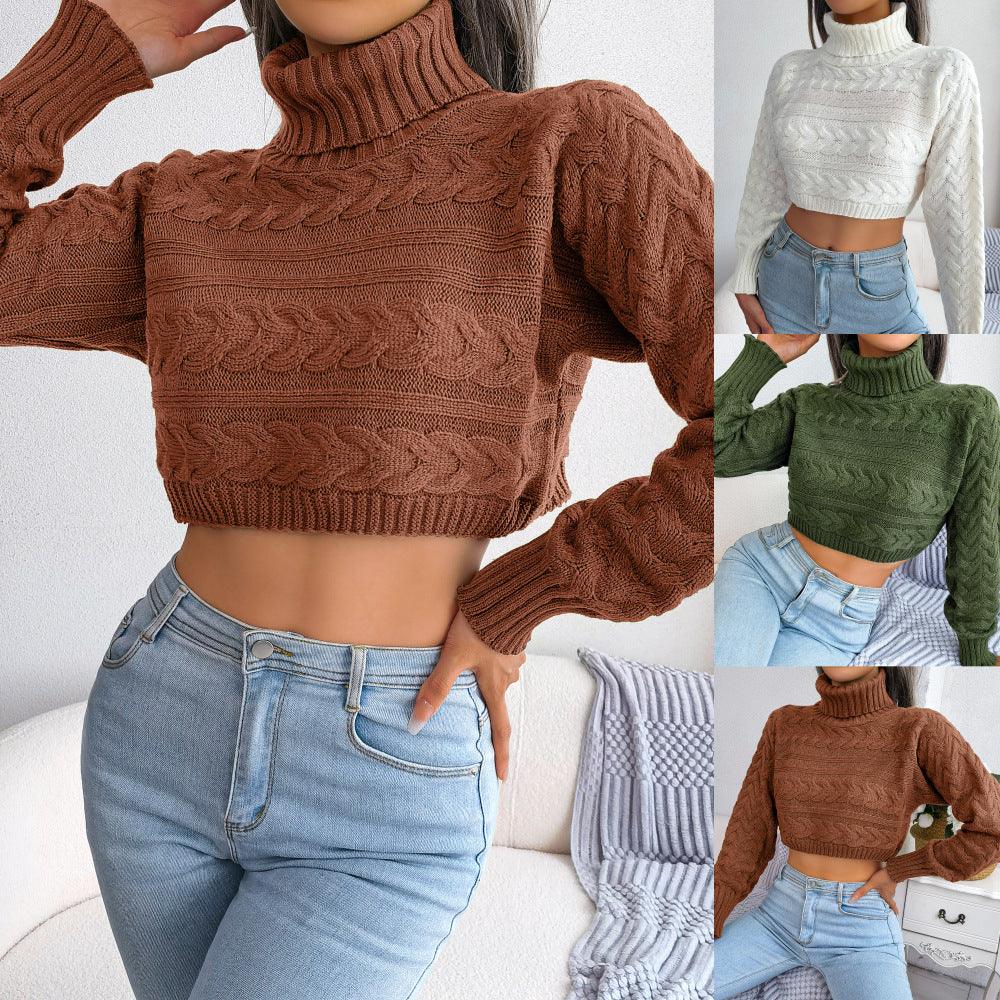 Women's Casual Fried Dough Twist Long Sleeve High Neck Knitting Sweater - Trendha
