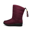 Color: Fuchsia