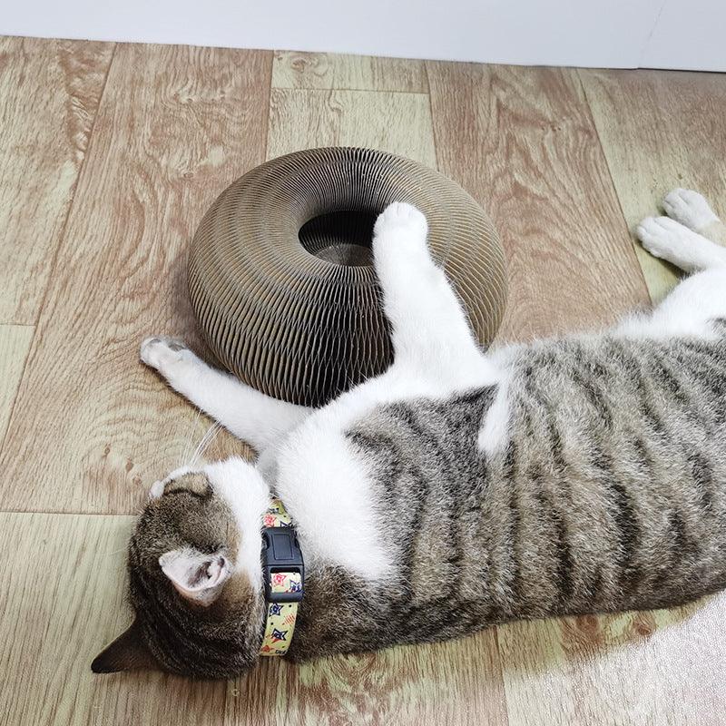 Magic Organ Cat Scratchers 2 In 1 Funny Shaped Cat Scratching Board Foldable Convenient Recyclable Durable Cat Scratcher - Trendha