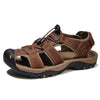 Color: Dark brown