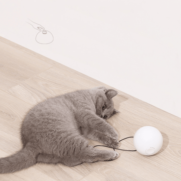 Homerun Smart Interactive Pet Toys Automatic 360 Degree Self Rotating Ball Toys with Bell Built-In Spinning Eye-Protection LED Cat Toy from Eco-System - Trendha