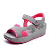 Color: Rosered