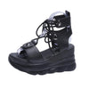 Color: Black