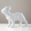 style: WhiteBullTerrier
