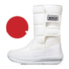 Color: White