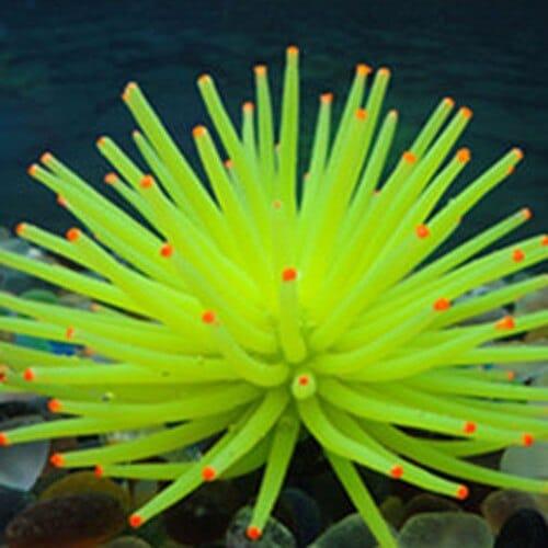 Aquarium Silicone Artificial Aquatic Life - Trendha