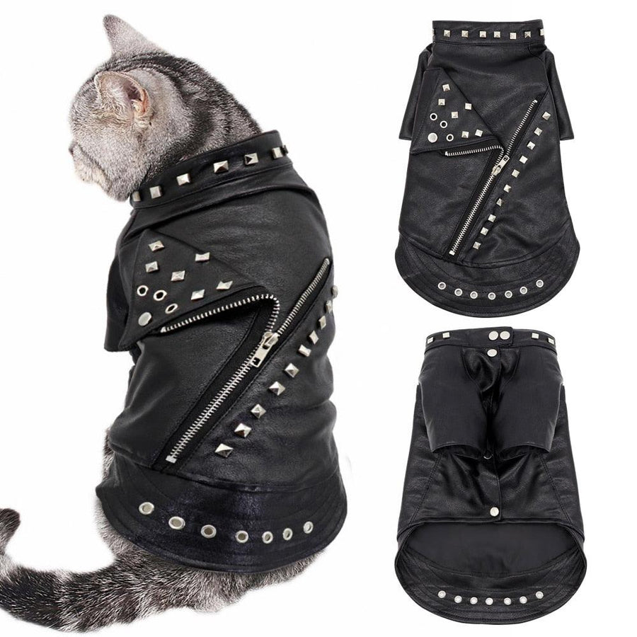 Black Leather Jacket for Cats - Trendha