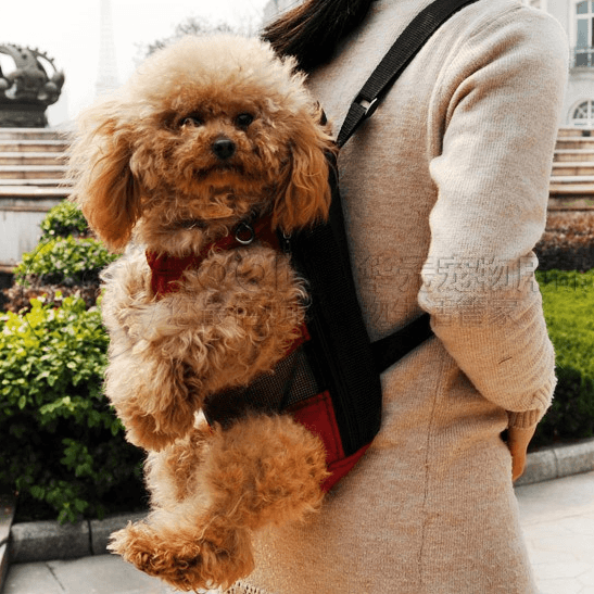 Breathable Sling Pet Carrier - Trendha