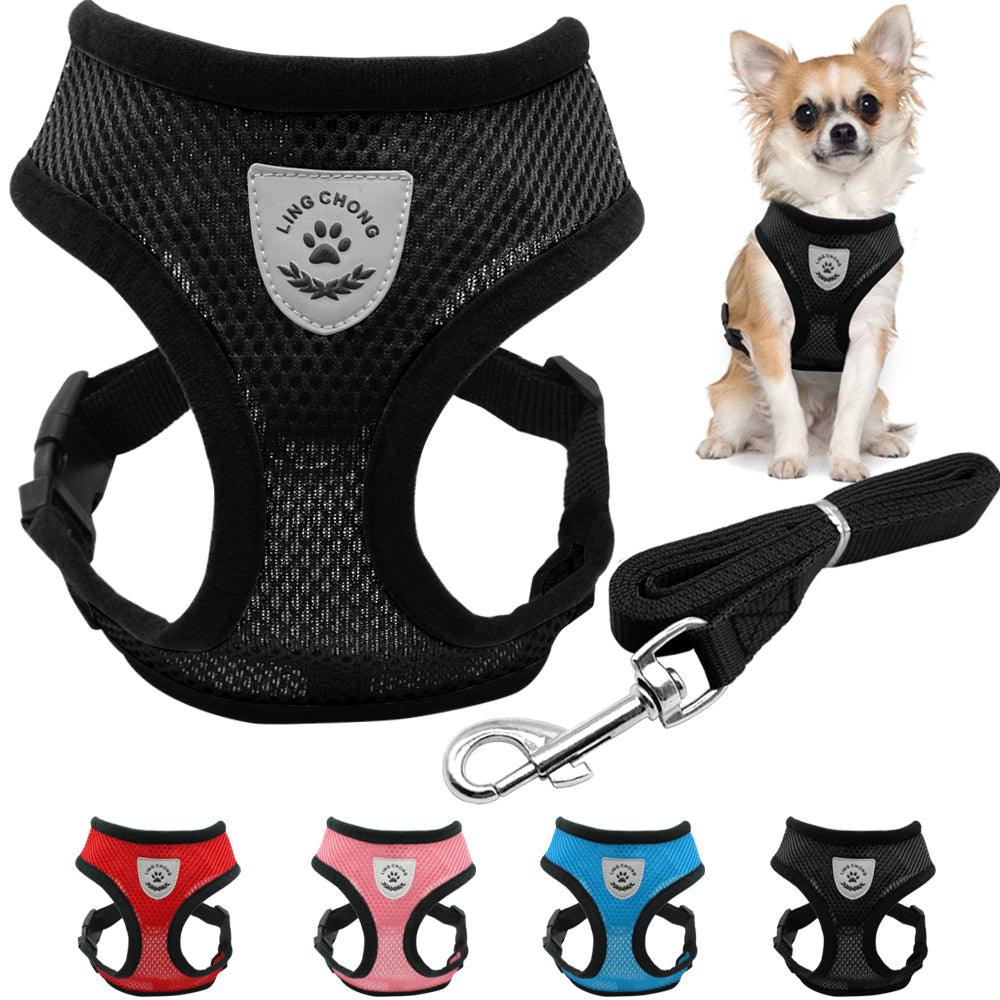 Breathable Small Dog & Puppy Harness & Leash - Trendha