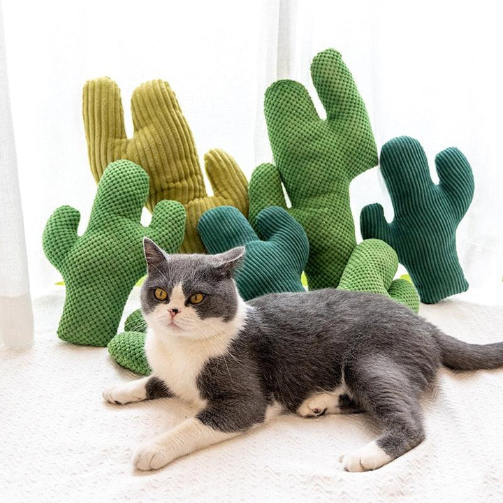 Cactus Catnip Cat Plush Toy - Trendha