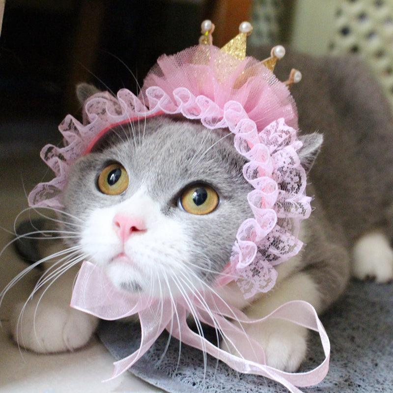 Cat Headwear - Trendha