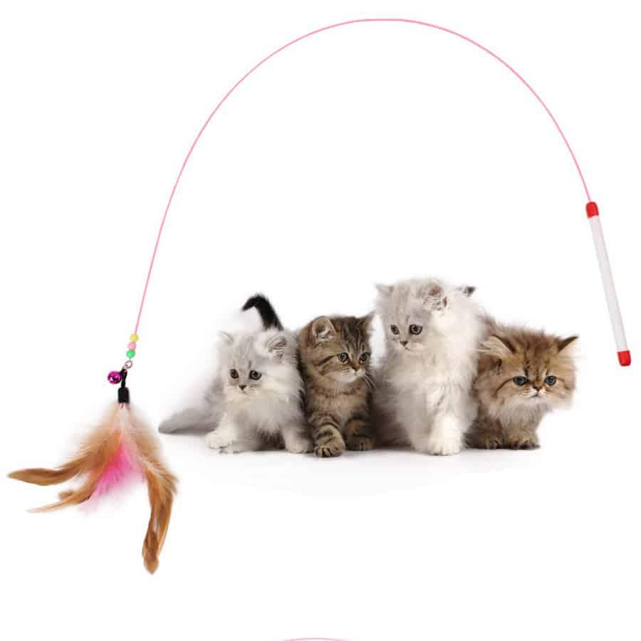 Cat's Colorful Feather Toy - Trendha