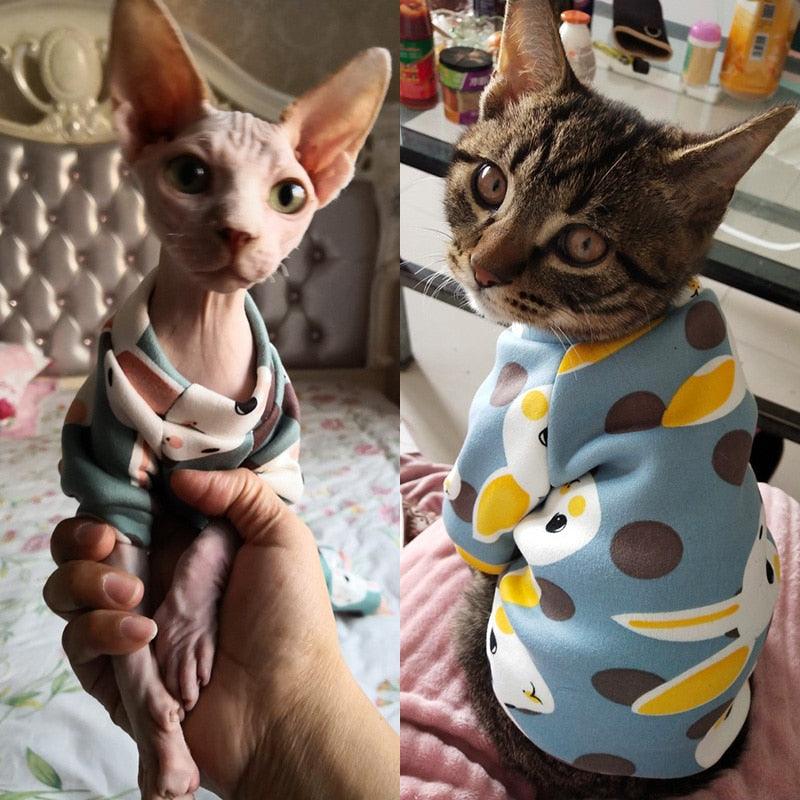 Cat's Colorful Print Sweatshirt - Trendha