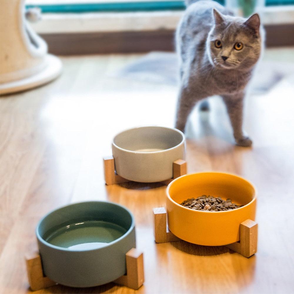 Ceramic Elevated Bowl for Pets - Trendha