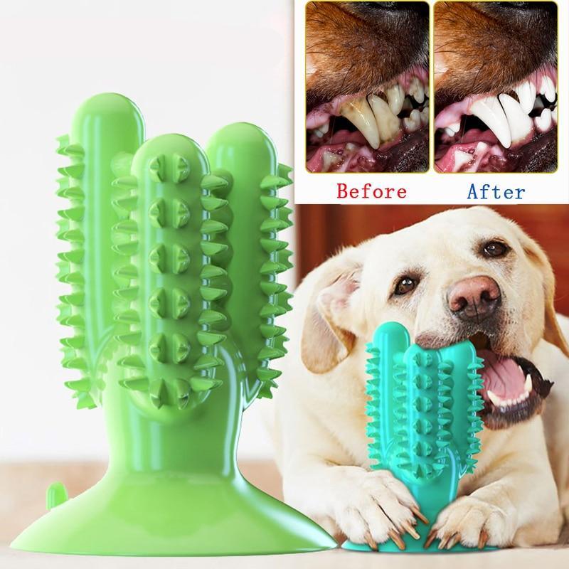 Chewing Toothbrush Toy for Dogs - Trendha