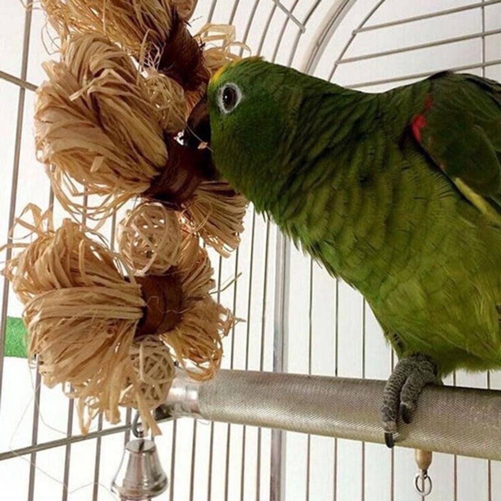 Chewing Toys For Birds - Trendha