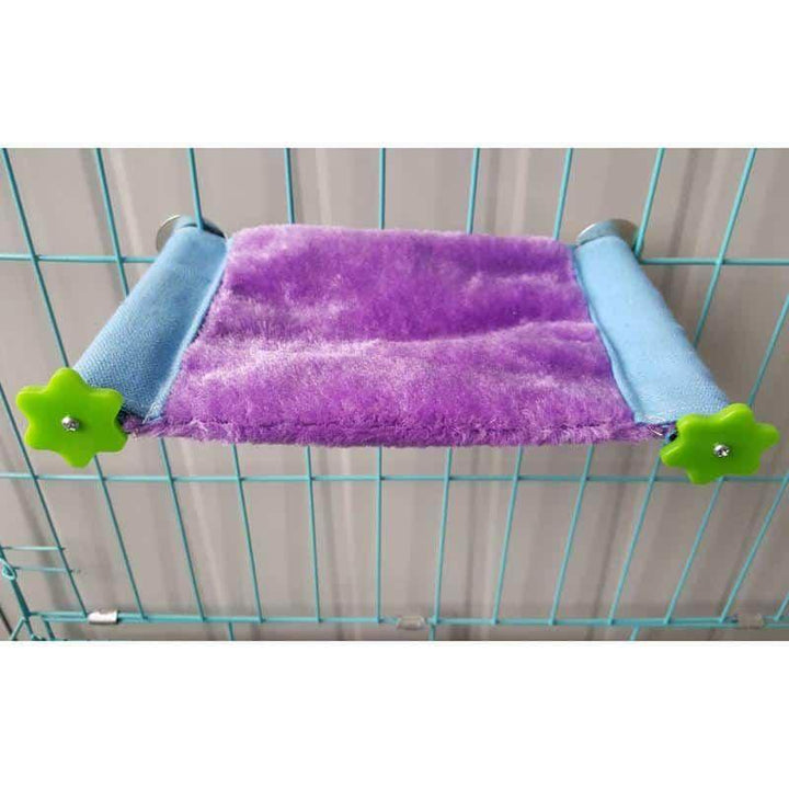 Color Block Bed for Small Pets - Trendha