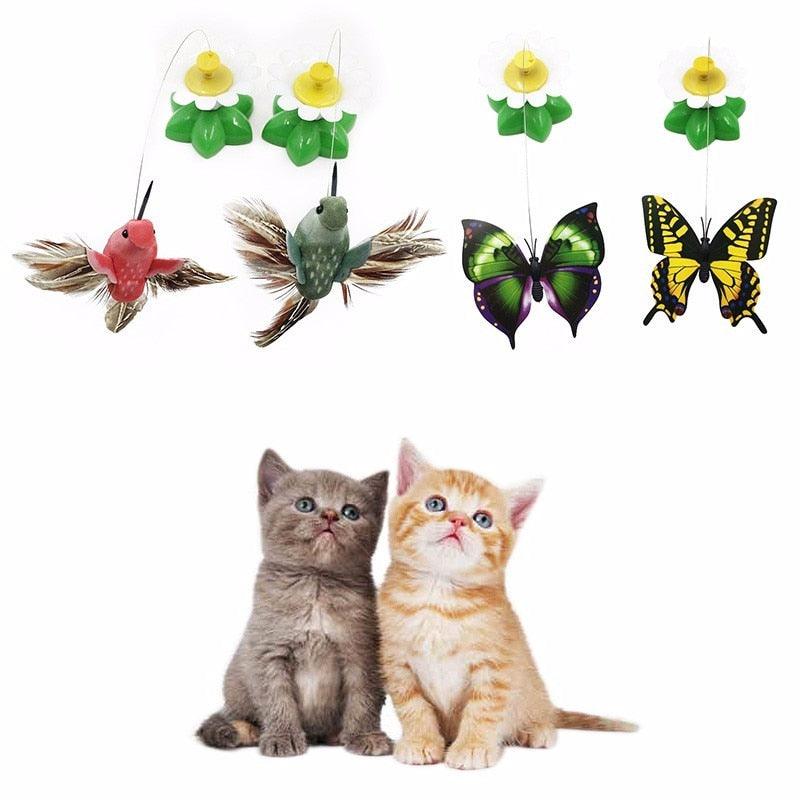 Colorful Electric Butterfly and Bird - Trendha