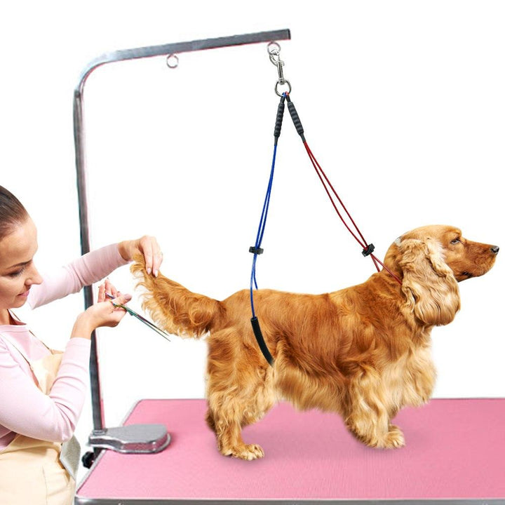 Colorful Strap for Pet Grooming Table - Trendha