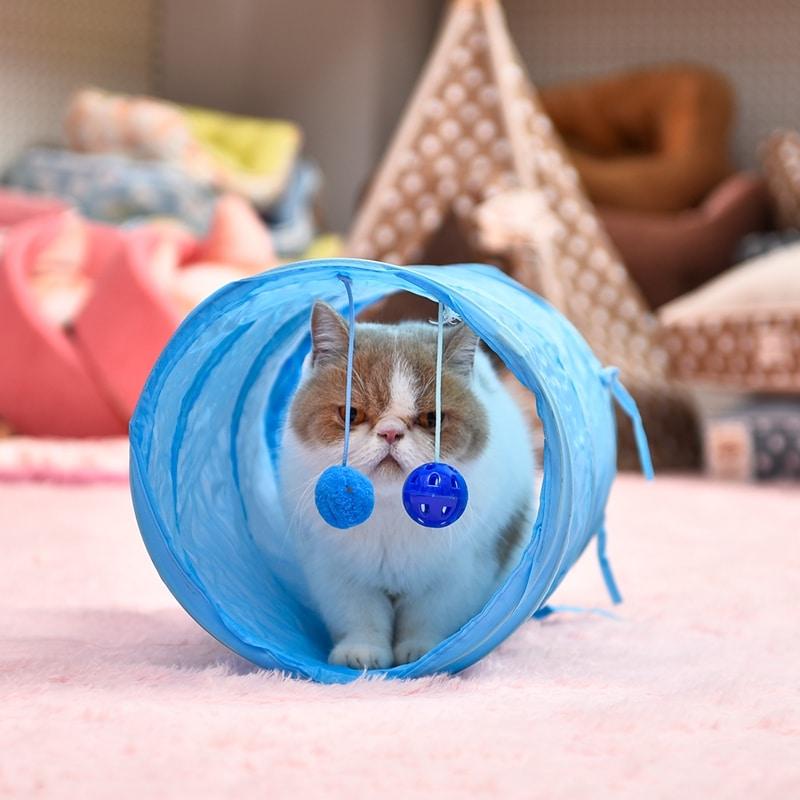Colorful Tunnel Toy for Cats with Two Balls - Trendha