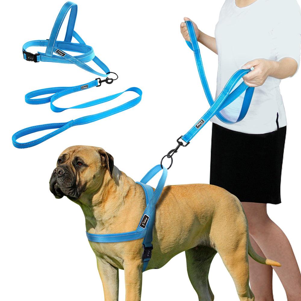 Convenient Basic Nylon Dog's Harness with Leash - Trendha