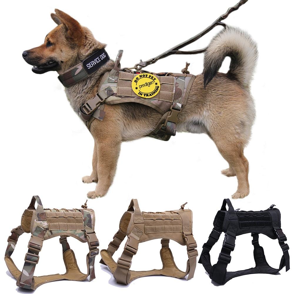Dog Harness and Leash Set With Nylon Handle - Trendha