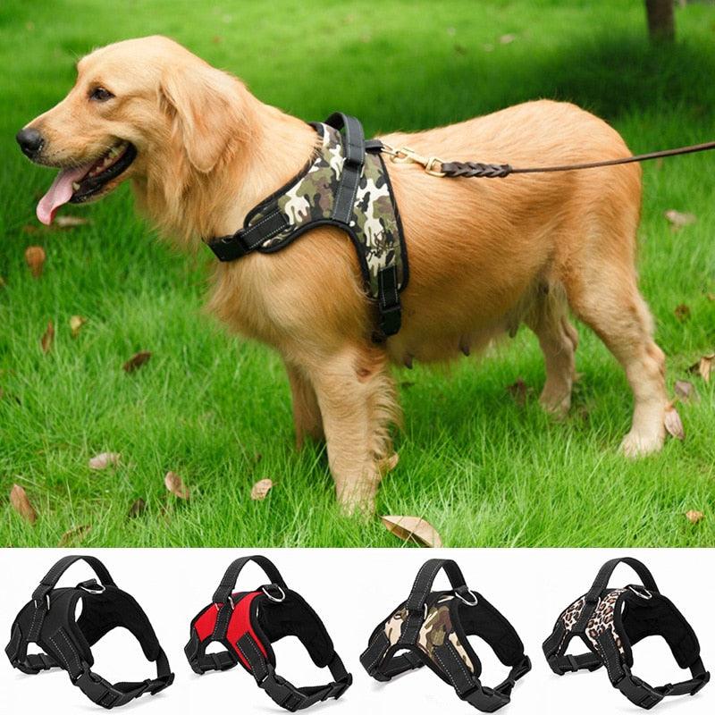 Dog's Casual Nylon Harness - Trendha