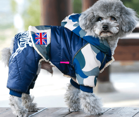 Dog's Casual Warm Jacket - Trendha