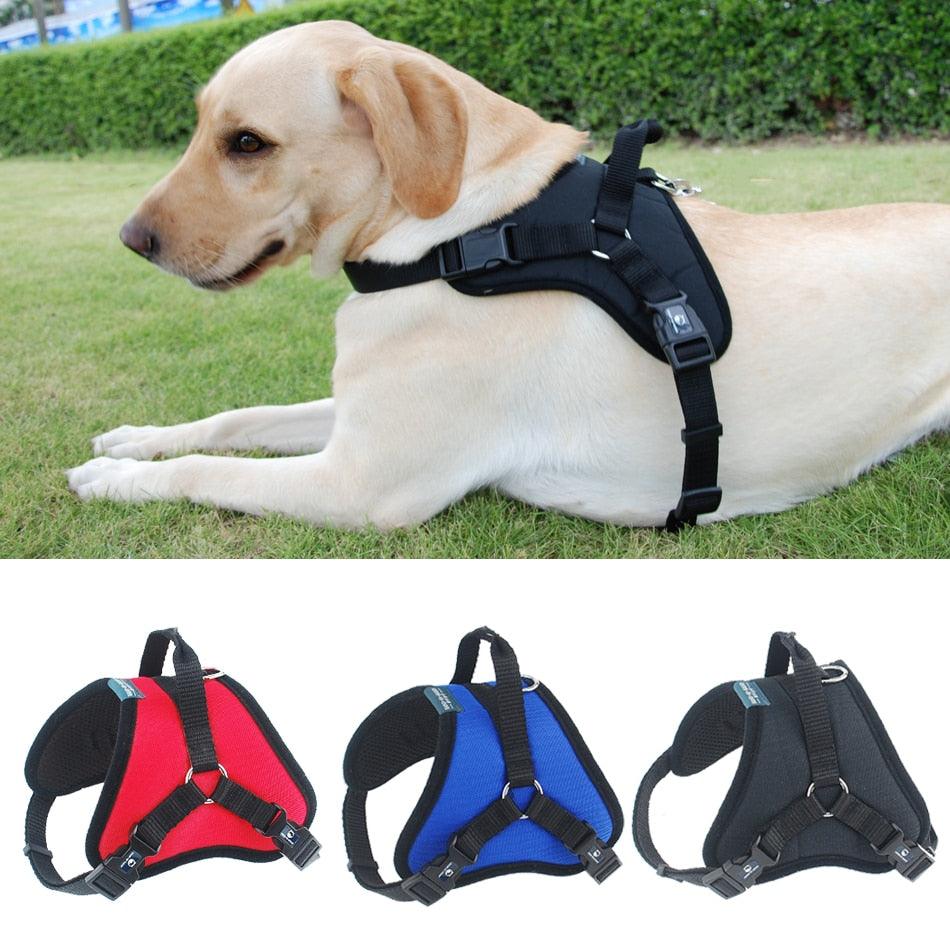 Dog's Padded Harness - Trendha