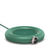 Color: green