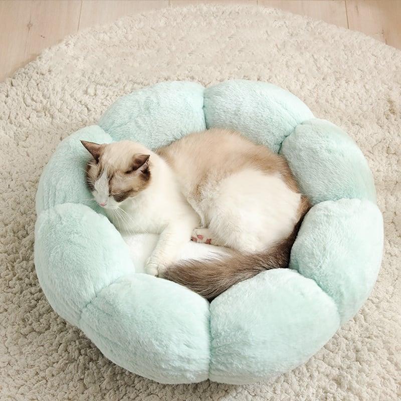Flower Shaped Cats Bed - Trendha