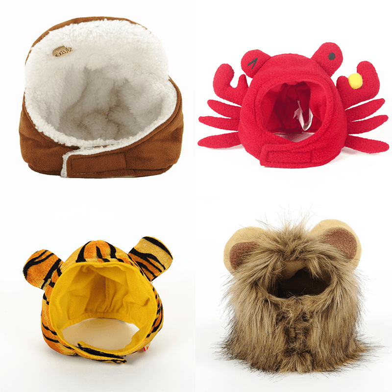 Funny Pet's Wig Hat - Trendha