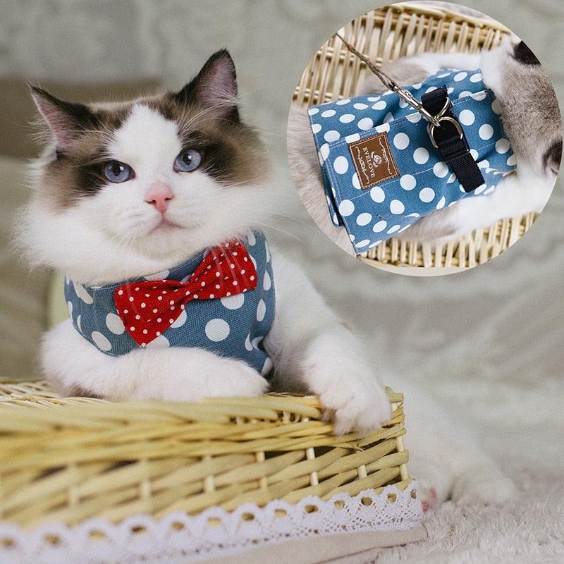 Gentleman Style Cat Harness with Leash - Trendha