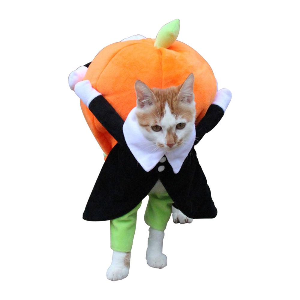 Halloween Pumpkin Costume for Cats - Trendha