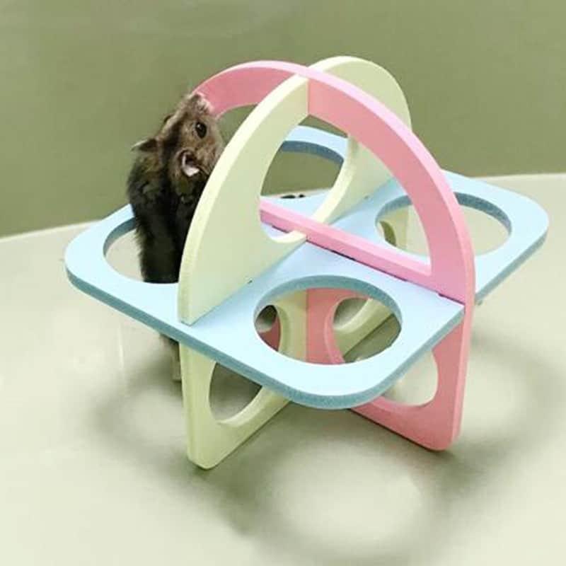 Hamster's Labyrinth Toy - Trendha