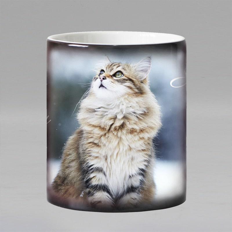 Heat Sensitive Custom Printed Mug