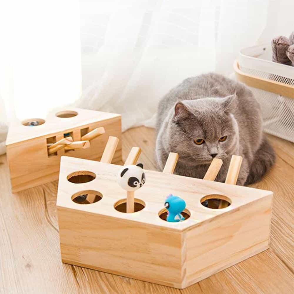 Interactive Wooden Cat Popping Toy