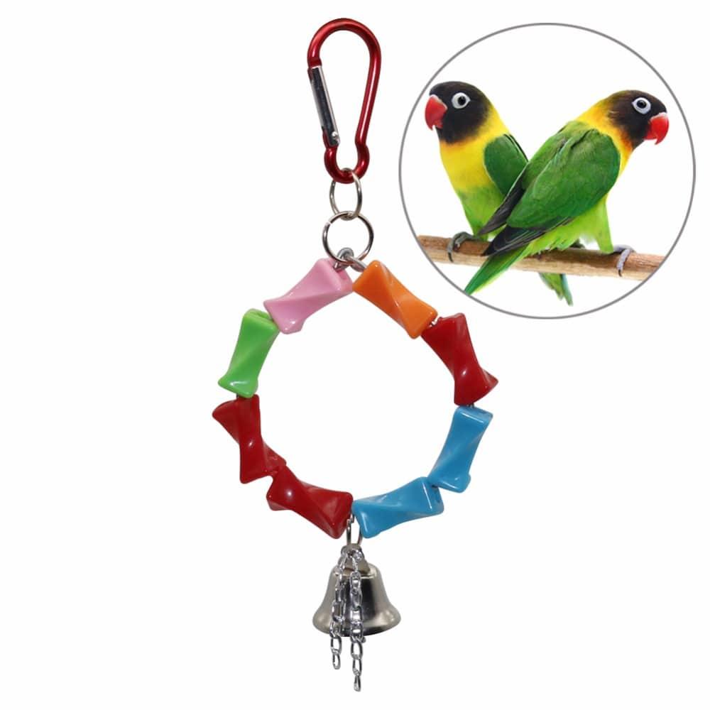 Parrot's Swing with Metal Ring