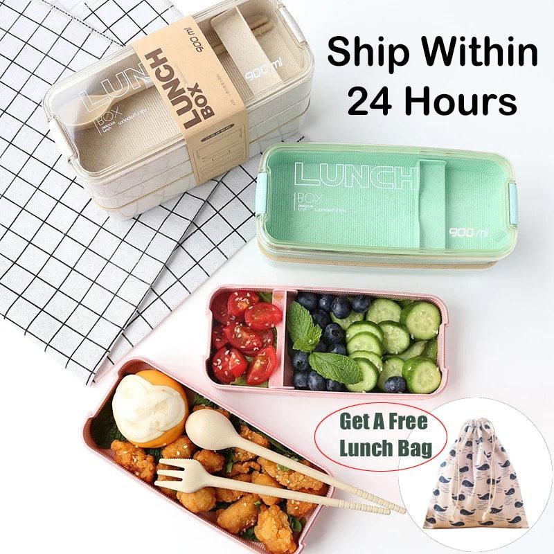 Portable 3 Layered Lunch Box - Trendha