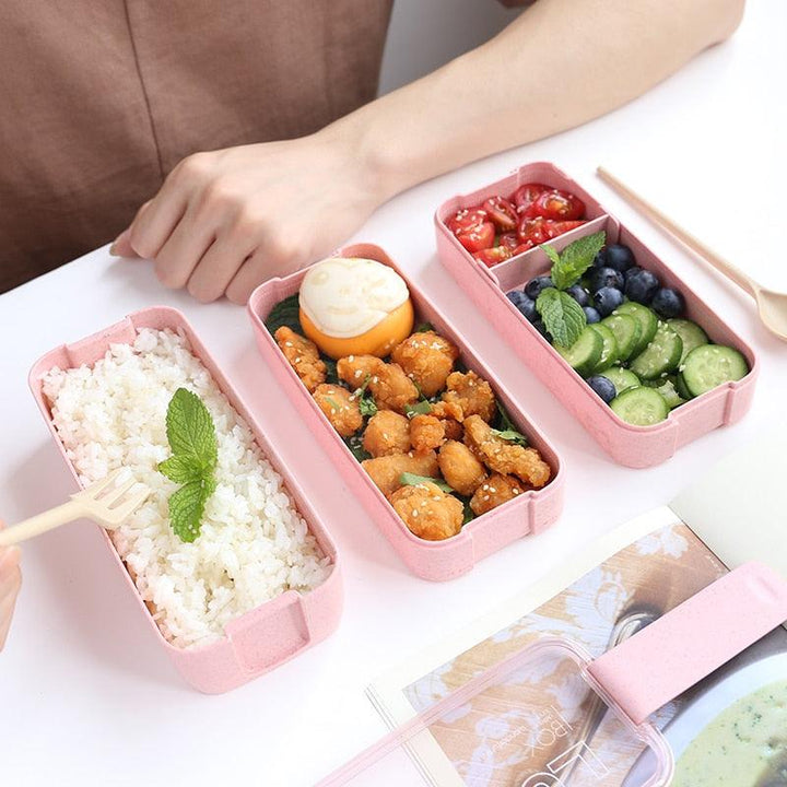 Portable 3 Layered Lunch Box - Trendha