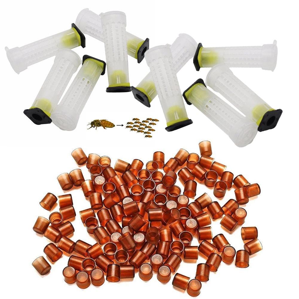 Queen Rearing Kit 90 pcs Set - Trendha
