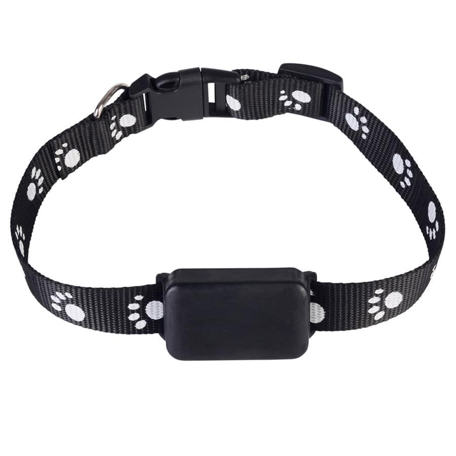 Real-Time GPS Tracker For Pets