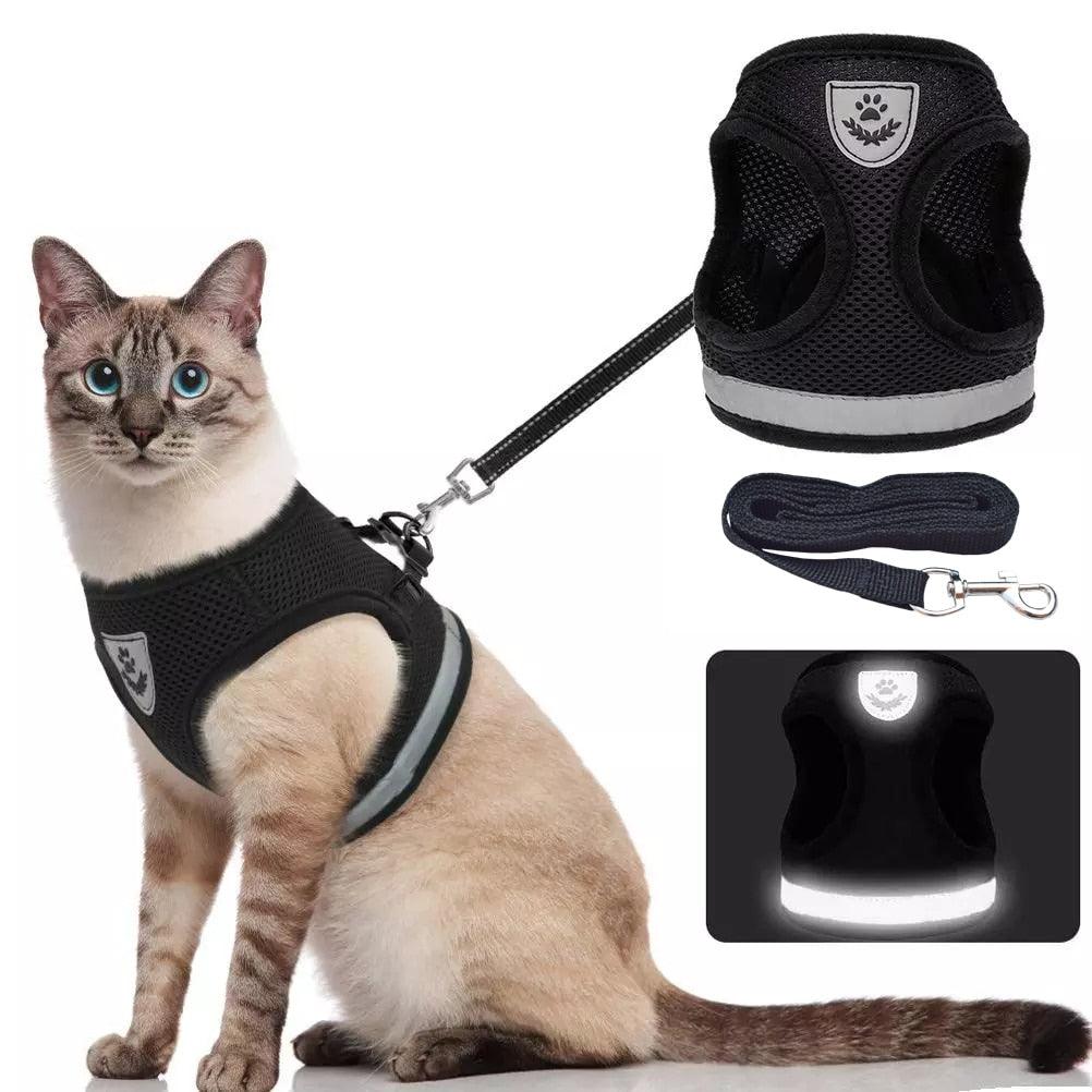 Reflective Breathable Harness - Trendha