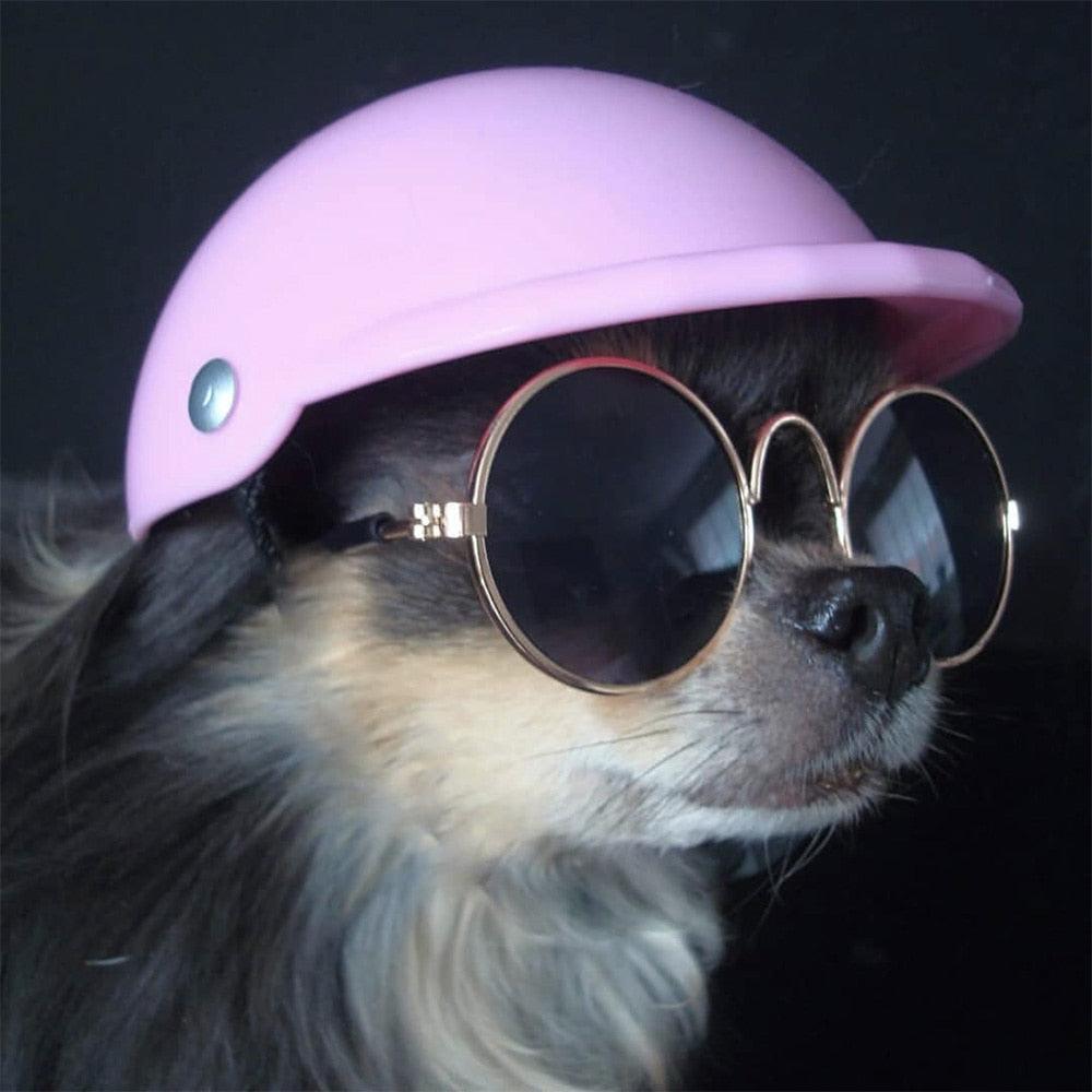 Small Pet Helmet and Sunglasses - Trendha