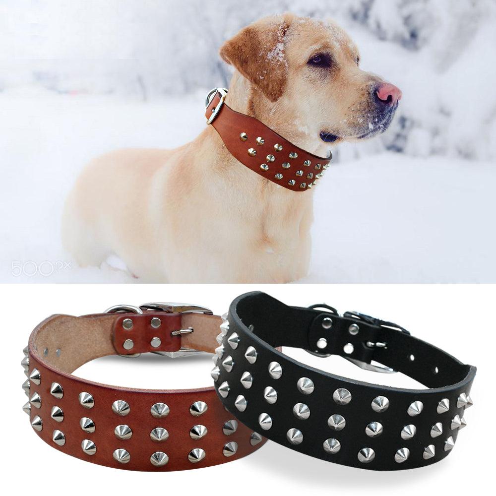 Studded Leather Dog Collar with Rock Style Design - Perfect for Fashionable Dogs - Trendha