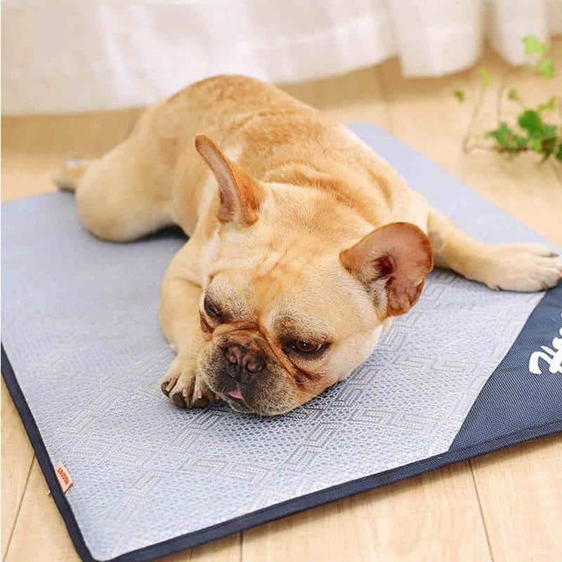 Summer Cooling Mat - Trendha