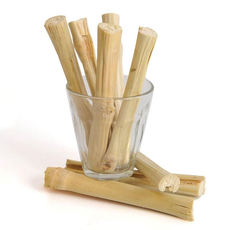 Sweet Bamboo Sticks For Small Pets - Trendha
