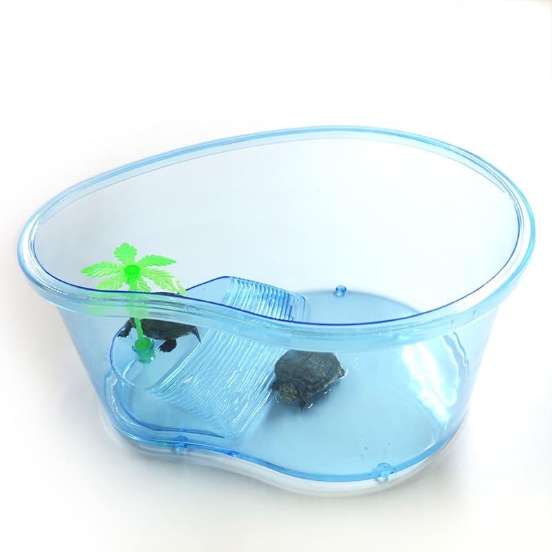 Transparent Plastic Terrariums For Turtles - Trendha